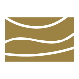 USP icon